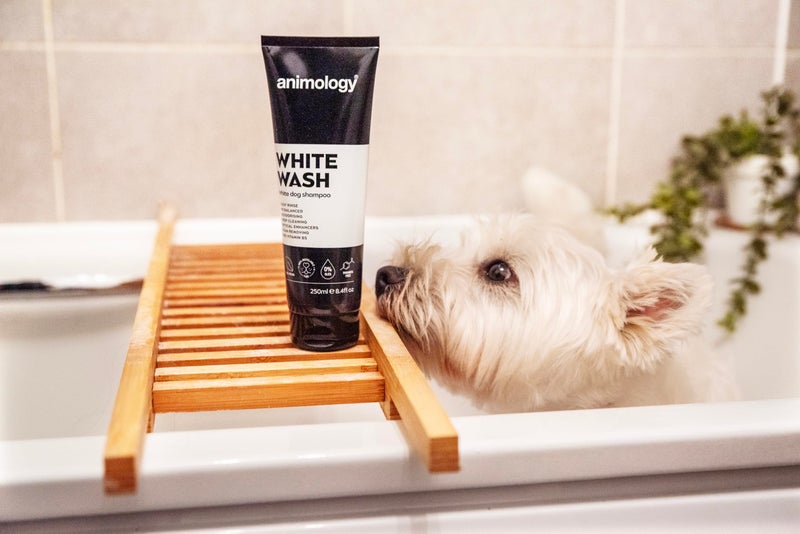 Animology Dog White Wash Shampoo 250ml - Image 5